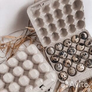 Тара для яиц