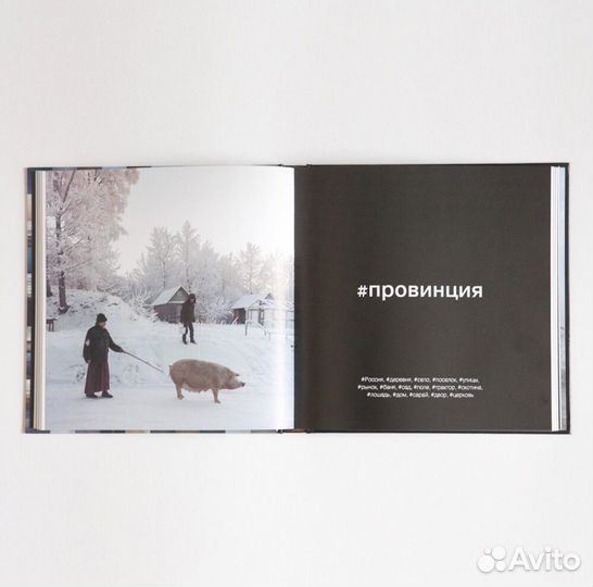 Дмитрий Марков. Черновик