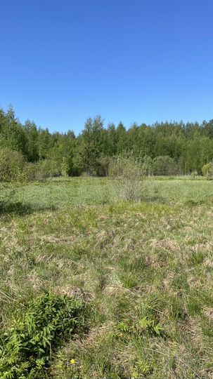 Участок 7,5 га (СНТ, ДНП)