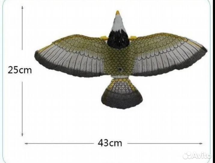 Орёл для дачи & сада