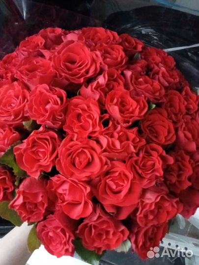 51 роза 101 роза Букеты напрямую со склада