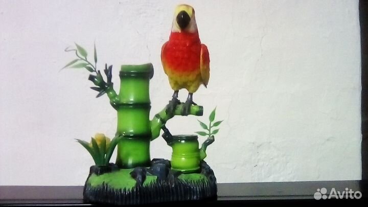 Попугай на ветке