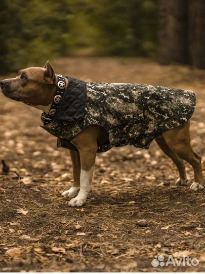 Одежда для собак 35,70р