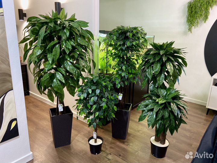 Искусственные деревья / Озеленение под ключ