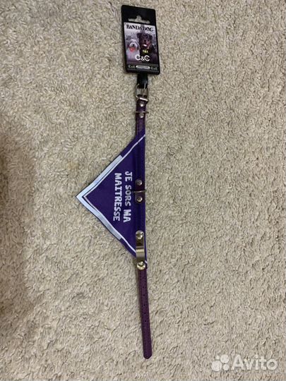 Ошейник на маленькую собаку