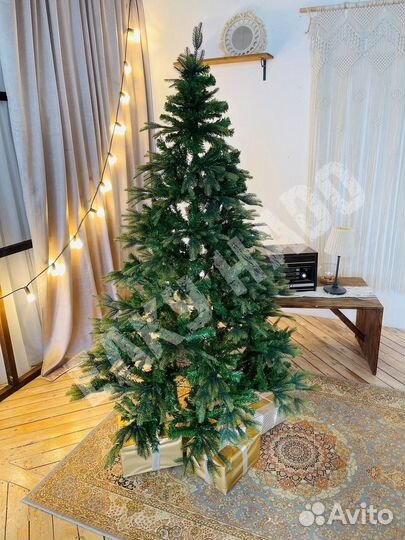 Ель Королевский каприз (Комбинированная 50/50)