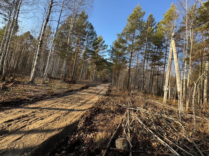 Участок 17,6 сот. (СНТ, ДНП)