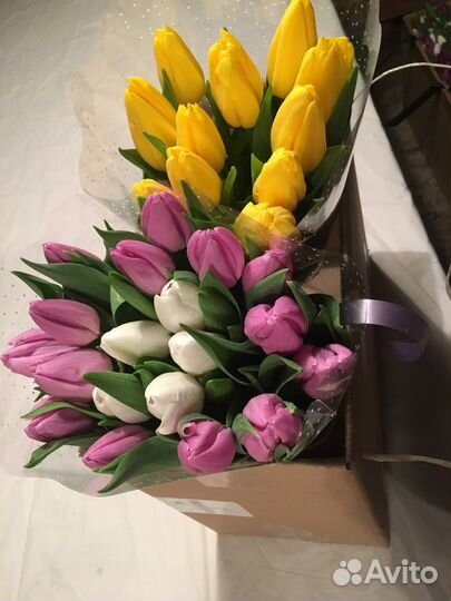 Луковицы тюльпанов для клумбы