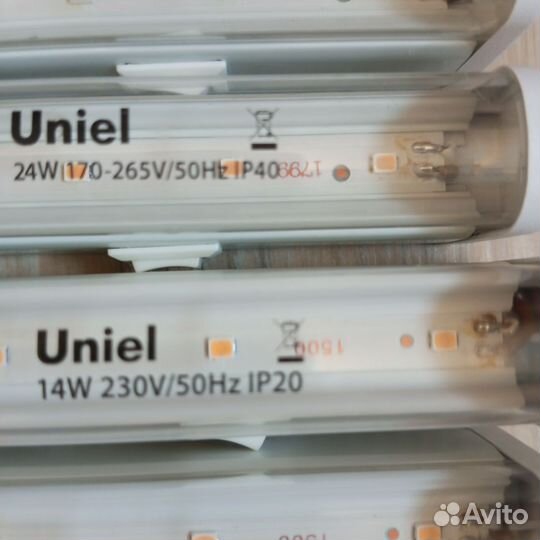 Фитолампы Uniel для рассады, выращивания цветов