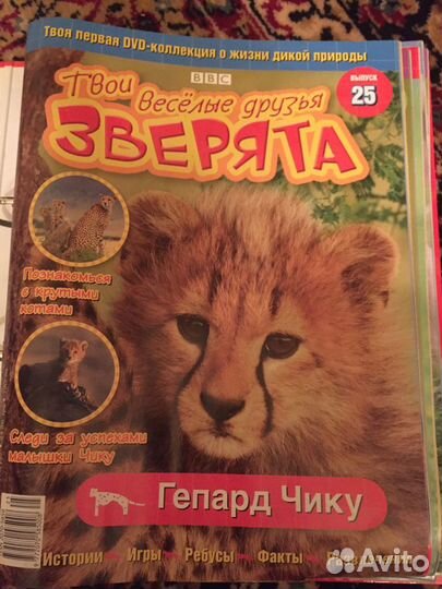 Коллекция «твои веселые друзья зверята»