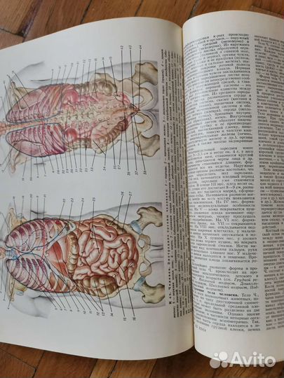 Популярная медицинская энциклопедия, СССР
