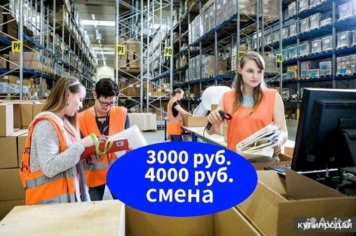 Вахта еженедельные выплаты
