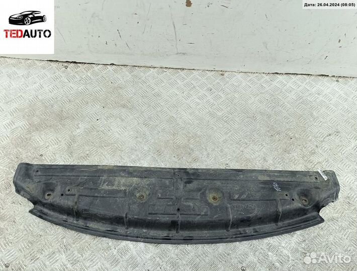 Защита бампера переднего, Hyundai Sonata YF (2010