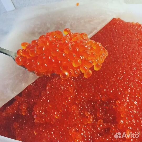 Икра оптом форель. Оптовикам