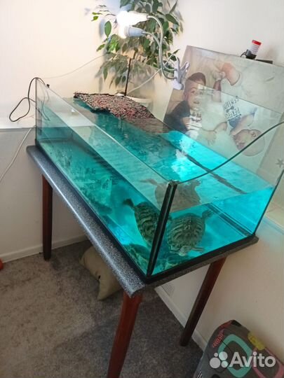 Аквариум