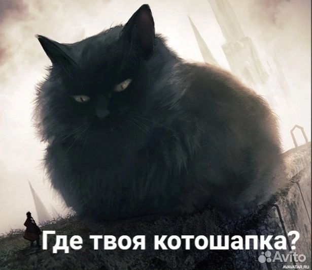 Шапка котошапка