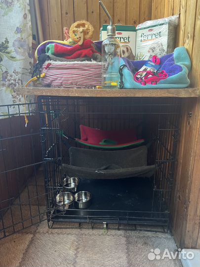 Полноценный дом для хорька, норки