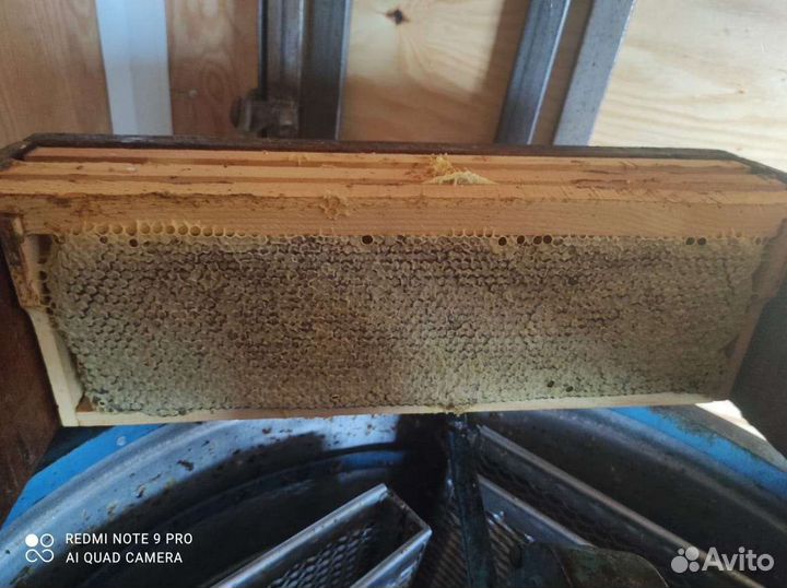 Сотовый мед