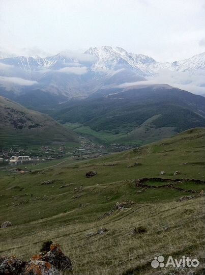 Гид экскурсовод