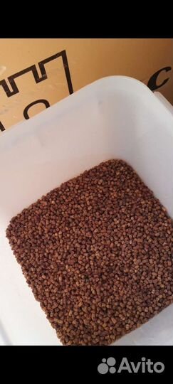 Перга пчелиная