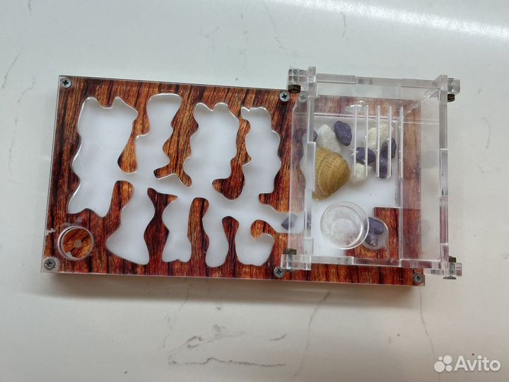 Дом для муравьев