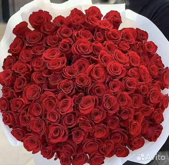 Высокие розы Гигантские розы Доставка цветов