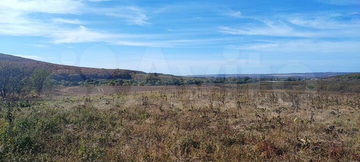 Участок 20 га (СНТ, ДНП)