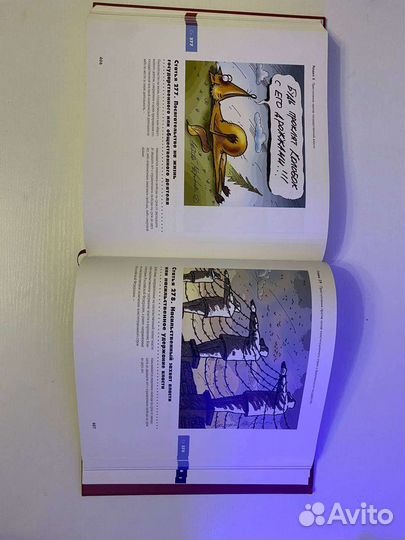 Иллюстрированный уголовный кодекс Алексей Меринов