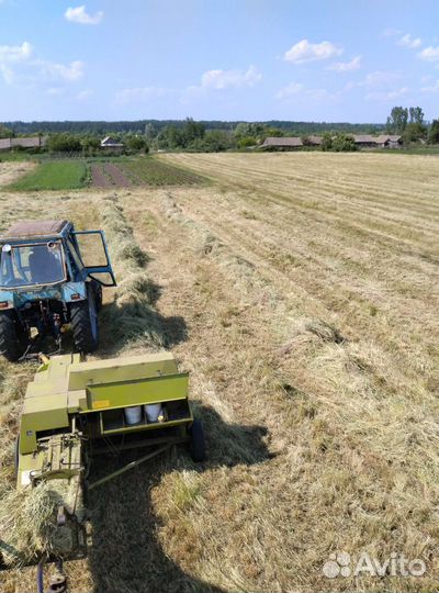 Сено в тюках