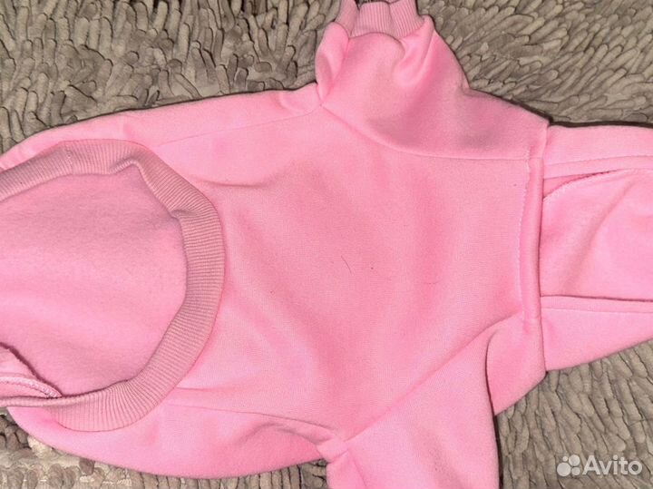 Одежда для собак