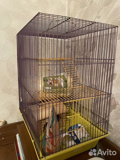 Клетка для грызунов