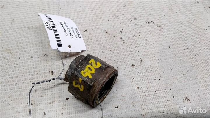 Гайка шруса наружнего Peugeot 206