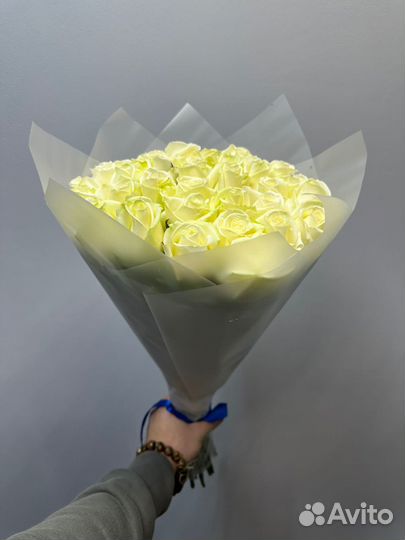 Цветы ромашки