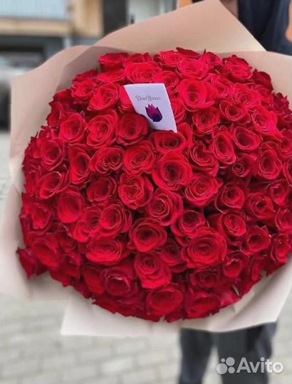 101 роза Цветы Букет
