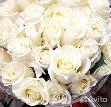 Розы Цветы Букеты 25 151 201 101 301 501 опт