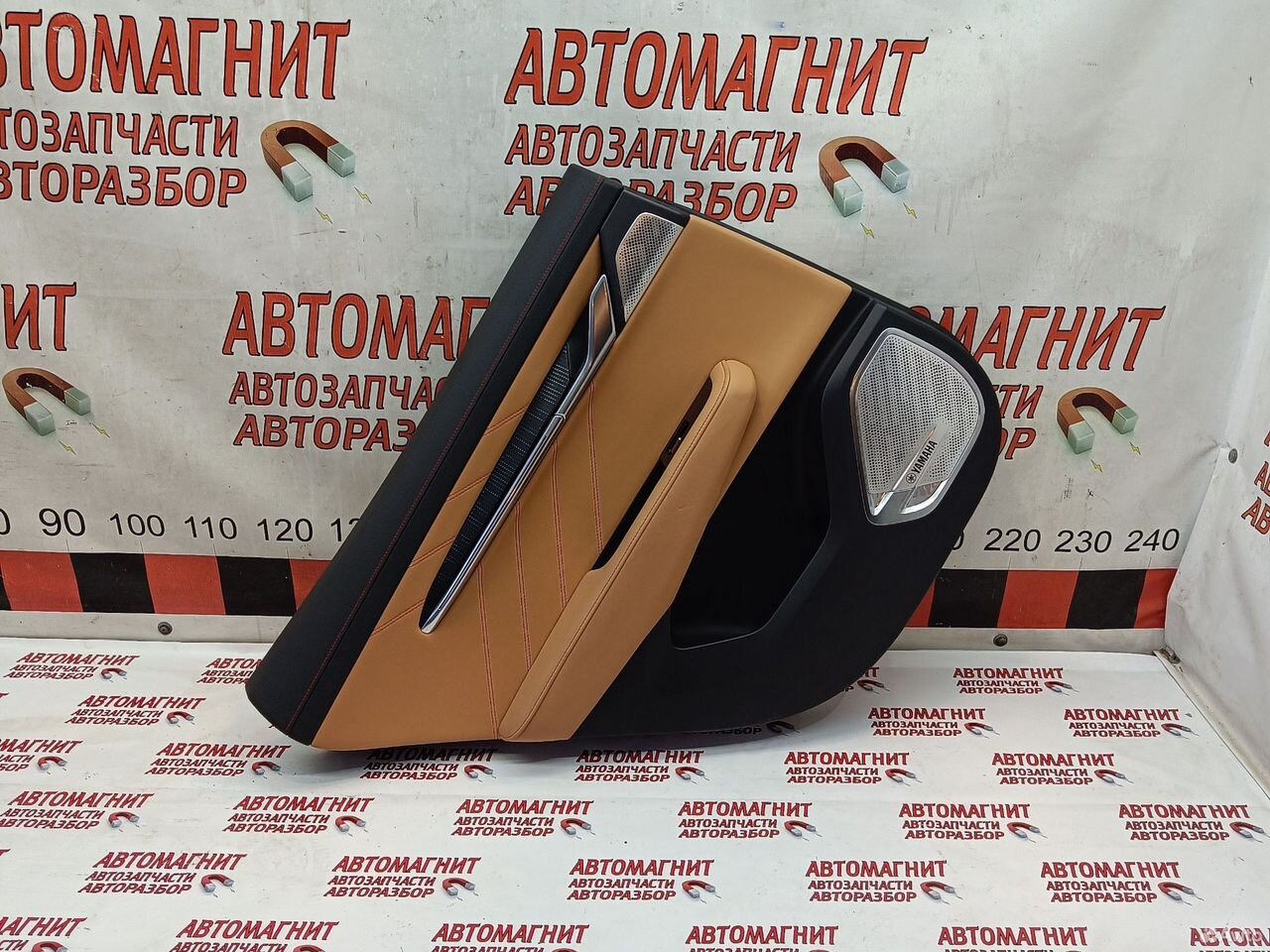 Обшивка двери задней левой Zeekr 001