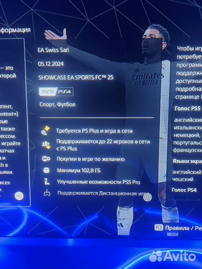 FIFA 2025 FC 25 RU PS4/PS5