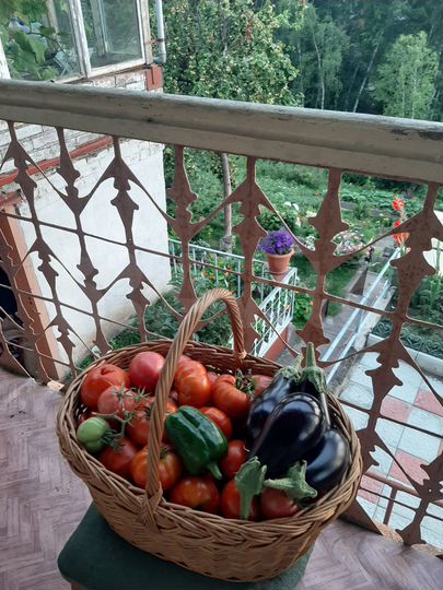 Дача 50 м² на участке 11,5 сот.