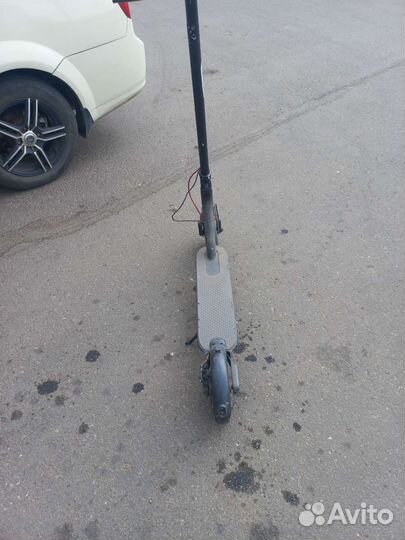 Электросамокат xiaomi m365 оригинал