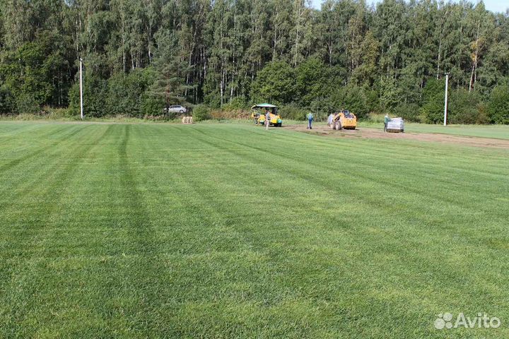 Укладка рулонного газона