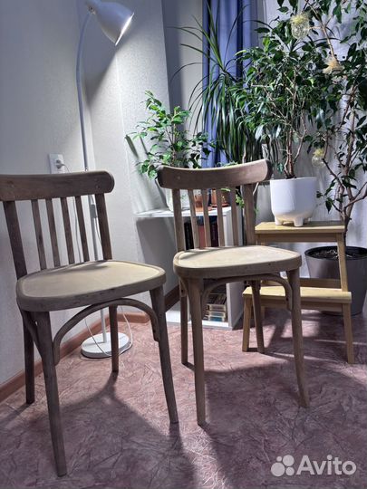 Венские стулья