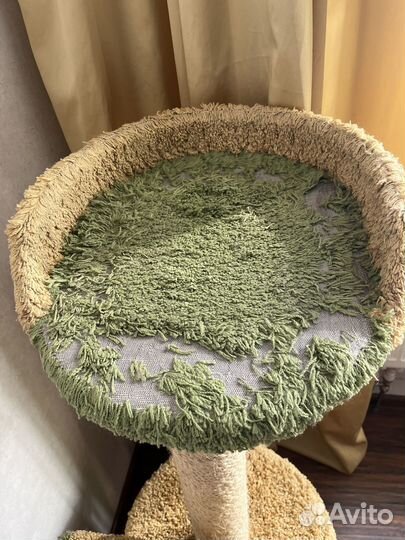 Домик когтеточка для большой кошки