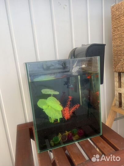 Отдам аквариум с рыбками