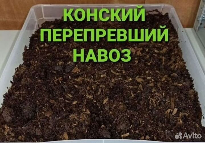 Конский перепревший навоз