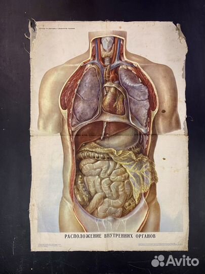 Учебное пособие времен СССР