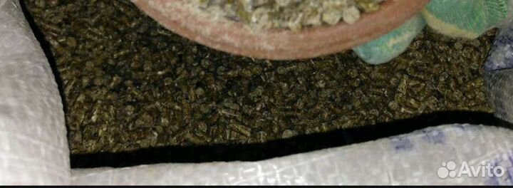 Комбикорм для карпа, рыбы