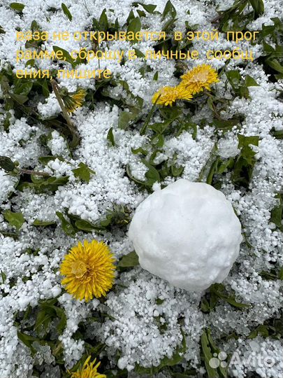 Графин,вазы,крынка и др