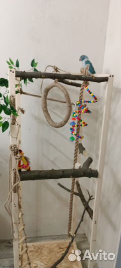 Игровая площадка для попугая