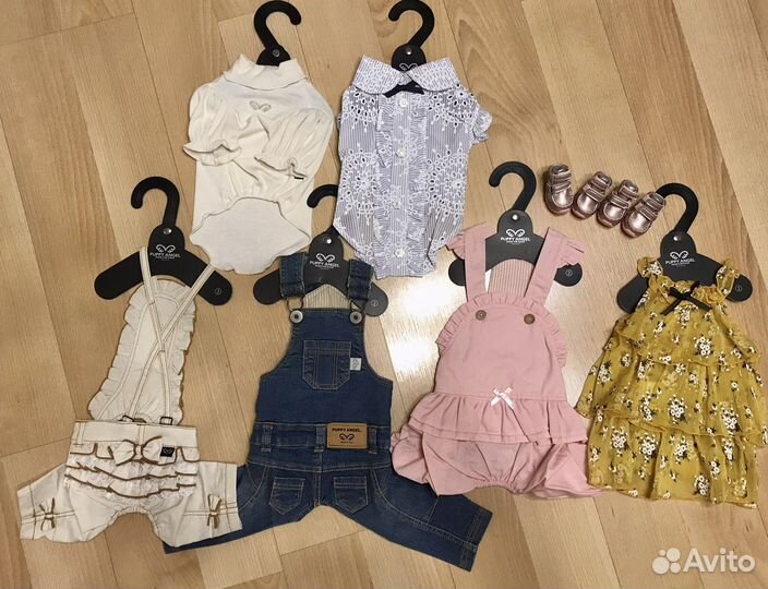 Puppy angel, Rukka, рулетка Flexi, Dogmoda