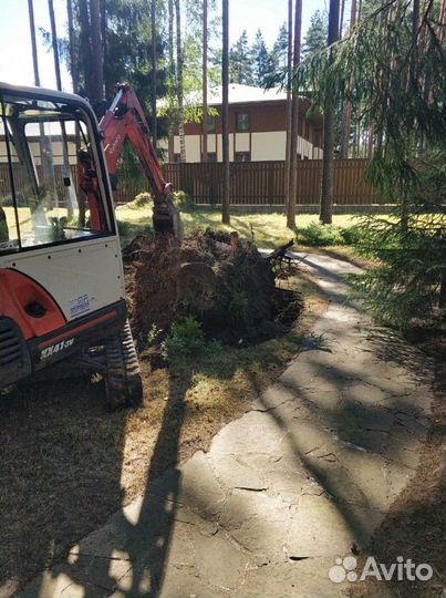 Аренда мини экскаватора